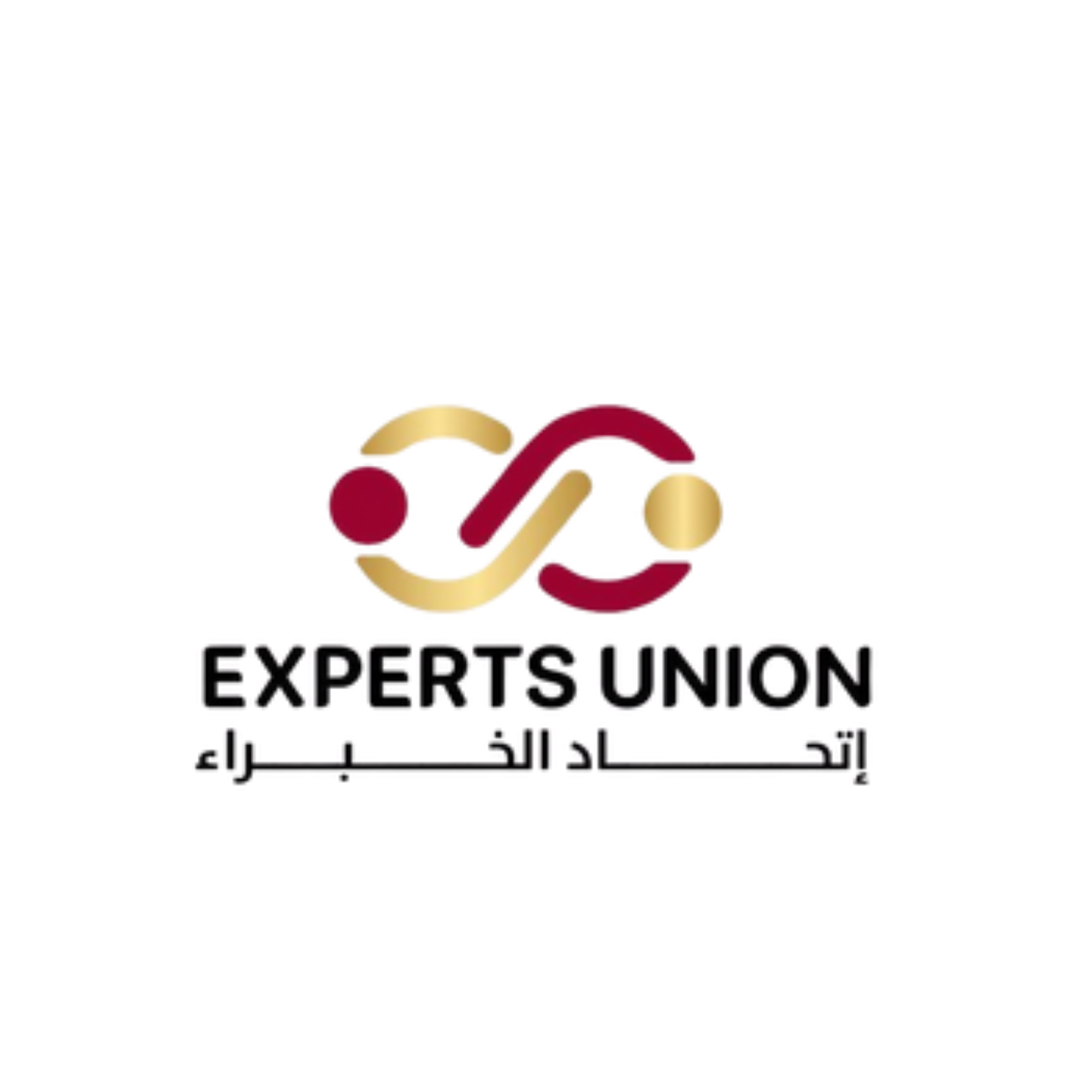 Experts Union